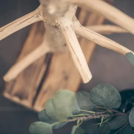 Lejlighed Christoph Ried im Zillertal